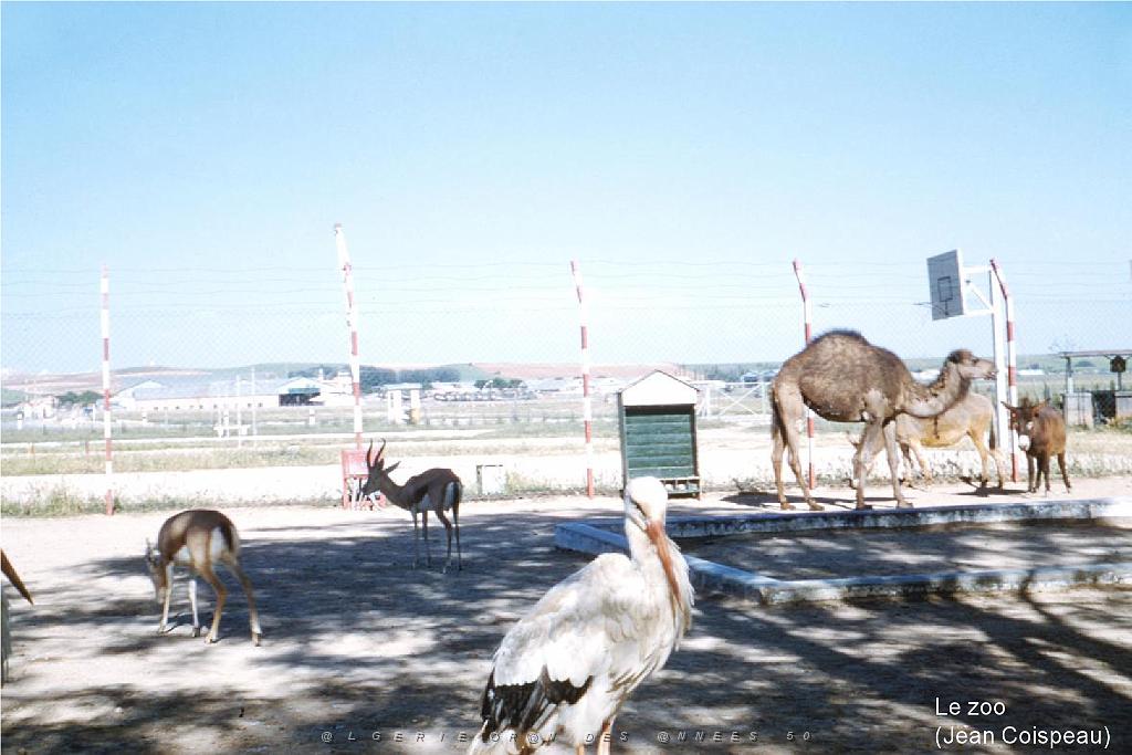 5 - ALAT (1)_000010.jpg